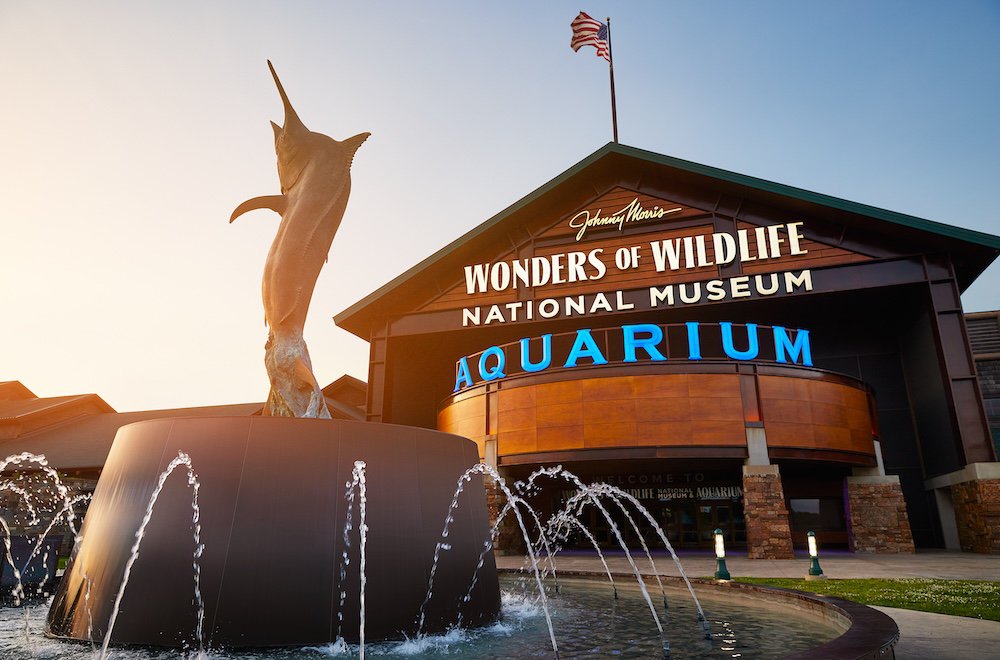 Must-visit summer encounters at Wonders of Wildlife National Museum & Aquarium