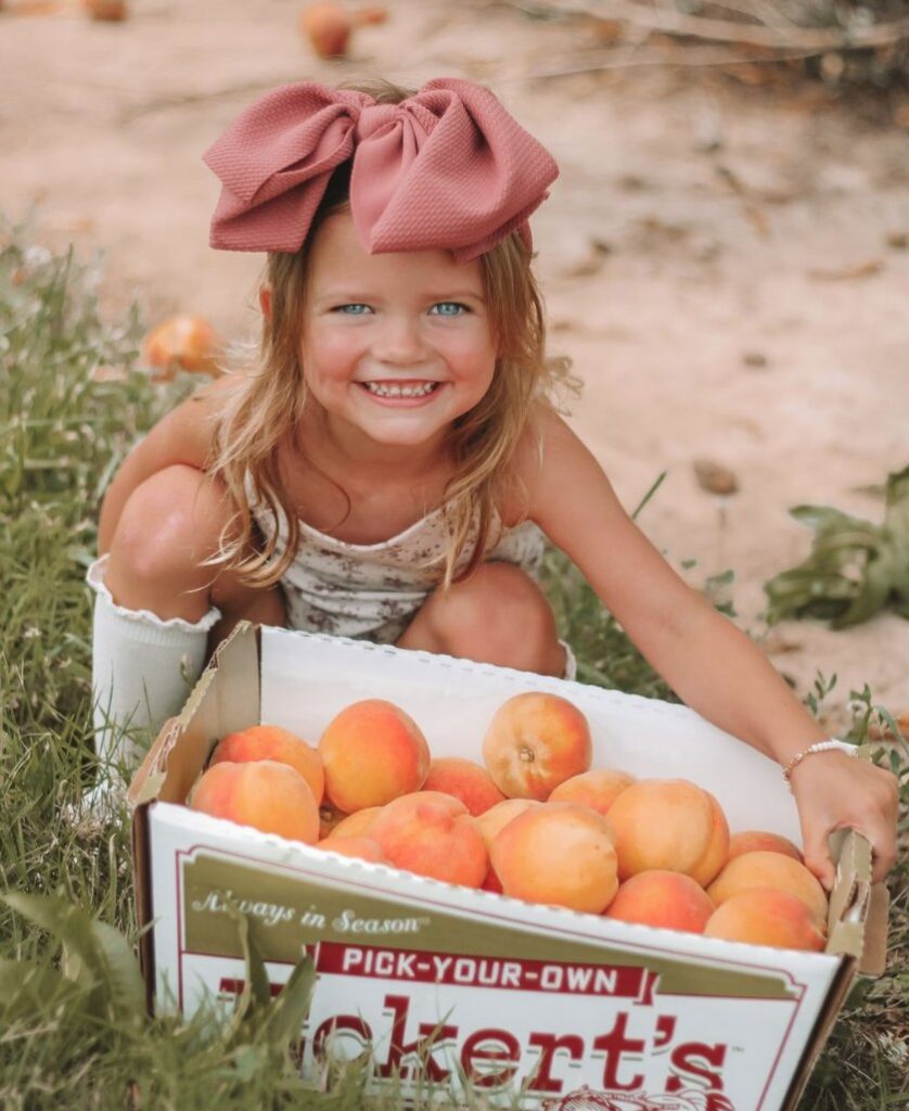 Pick-your-own farms within the St. Louis metro area