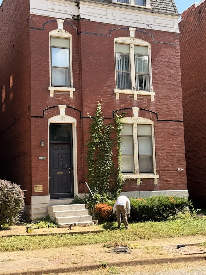 Volunteer cleaning up overgrown grass outside a Senate Square property in Benton Park, July 2026.