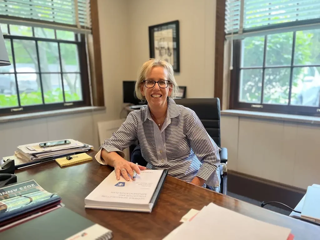 Ladue mayor Nancy Spewak talks about her other job as an interior designer